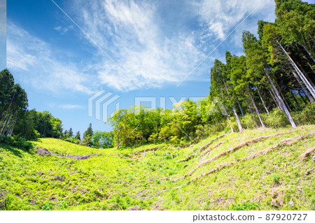 請欣賞中國山脈的美景。它也是一個種植和管理的自然保護場所。島根縣 87920727