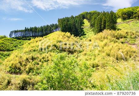 Please see the beautiful scenery of the Chugoku Mountains. It is also a site for nature conservation that is planted and managed. Shimane Prefecture 87920736