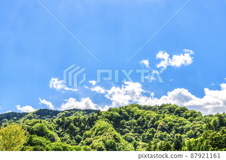 Fresh green forest Miyagase dam lake Kanagawa prefecture 87921161