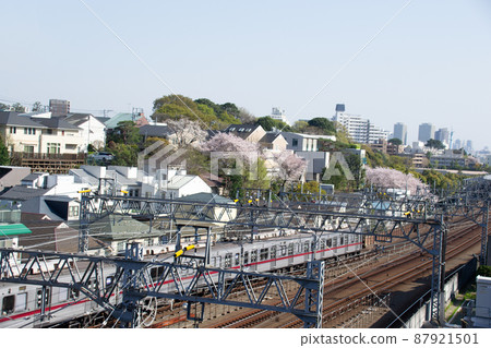 Denenchofu Denenchofu 87921501