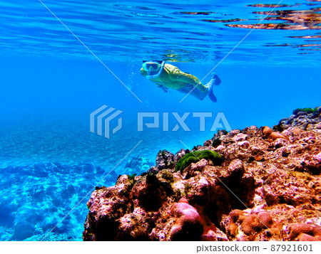 Snorkeling at Tachonga Beach, Tinian Snorkeling at Tachonga Beach, Tinian 87921601