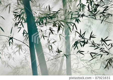The white smoke of the bonfire is flowing into the bamboo grove. 87921631