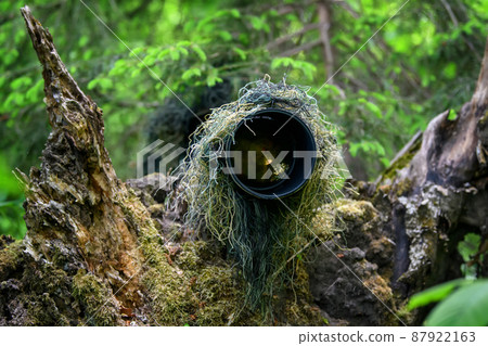 Wildlife photographer in the summer ghillie camouflage suit Wildlife photographer in the summer ghillie camouflage suit 87922163