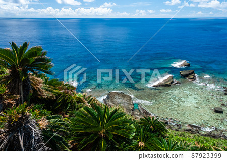 Stunning tropical view, lush coral reef, breathtaking crystalline deep blue sea, sago palms. Yonaguni island. 87923399