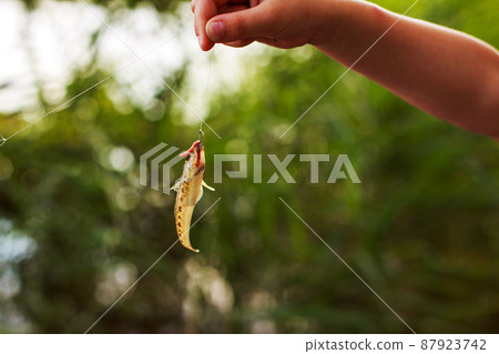 fish goby on the hook with a worm. caught fish on the hook fish goby on the hook with a worm. caught fish on the hook 87923742