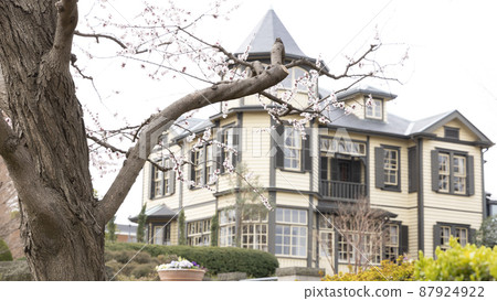 Early spring in Italy Mountain Park (Yamate, Yokohama City, Kanagawa Prefecture, Diplomat's House, Bluff No. 18) Early spring in Italy Mountain Park (Yamate, Yokohama City, Kanagawa Prefecture, Diplomat's House, Bluff No. 18) 87924922