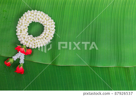 Songkran Festival background with jasmine garland on green banana leaf background Songkran Festival background with jasmine garland on green banana leaf background 87926537