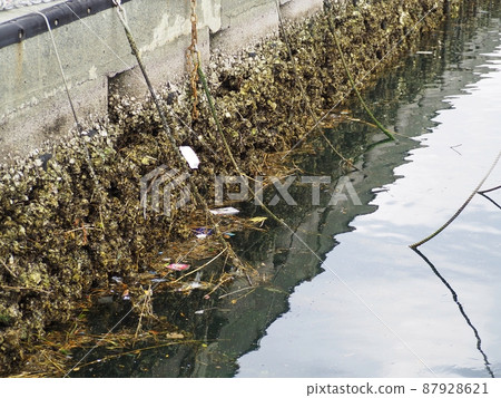 Low tide revetment Low tide revetment 87928621