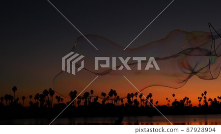 Palm trees silhouettes, sunset ocean beach, soap bubbles, California coast, USA. 87928904