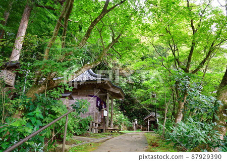 Kankokuji Temple (Niigata Prefecture) 87929390