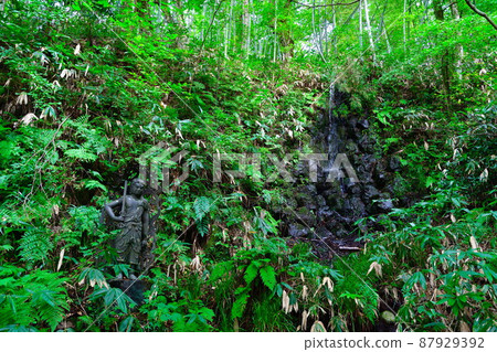 Kankokuji Temple (Niigata Prefecture) 87929392