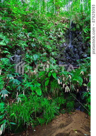 Kankokuji Temple (Niigata Prefecture) 87929393