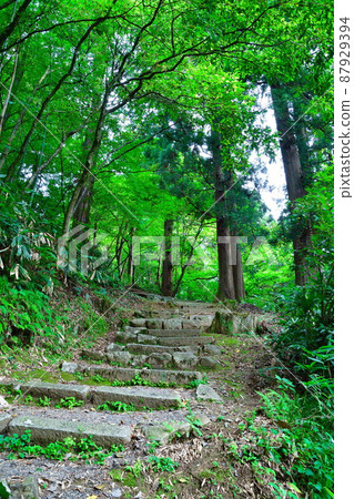 Kankokuji Temple (Niigata Prefecture) 87929394