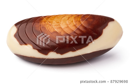 Chocolate sweets shaped as seashells isolated on white background Chocolate sweets shaped as seashells isolated on white background 87929698