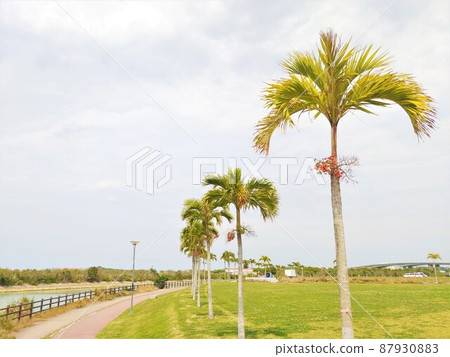 Okinawa Toyosaki Seaside Park 4 87930883
