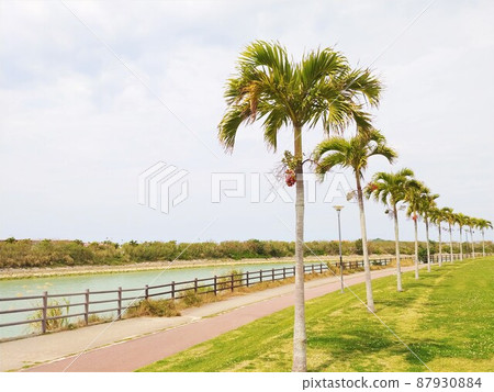 Okinawa Toyosaki Seaside Park 3 87930884
