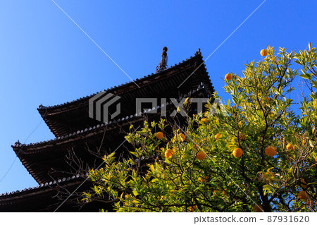 Yasaka Tower and Summer Mikan "Kyoto Sightseeing" Yasaka Tower and Summer Mikan "Kyoto Sightseeing" 87931620