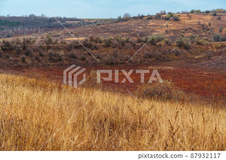 beautiful wild landscape, late autumn, colorful dry grass and trees, cloudy weather 87932117