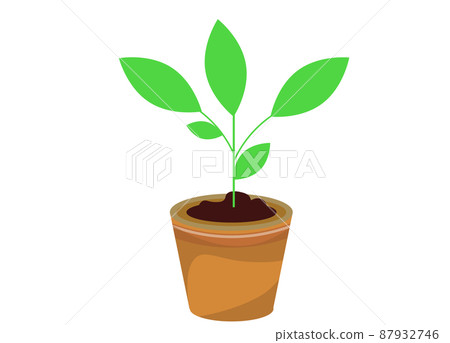 花盆和觀葉植物插圖素材 花盆和觀葉植物插圖素材 87932746