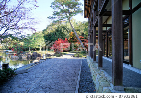 秋葉德川 秋葉德川 87932861