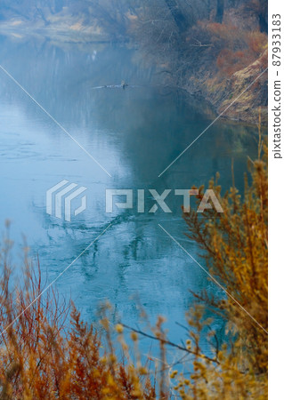 wild natural landscape, late autumn season, river, bare branches of trees without leaves are reflected in the water, cloudy weather with haze, forest with silhouettes of trees 87933183
