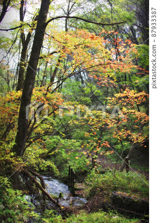 輕井澤Senja瀑布 87933387