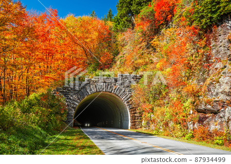 Blue Ridge Parkway Tunnel in Pisgah National Forest 87934499