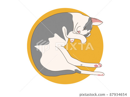 Kitten nap illustration Kitten nap illustration 87934654