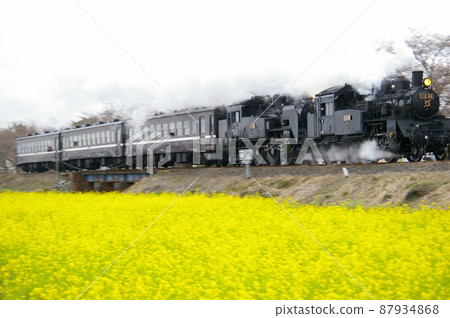 SL and rape blossoms, SL and cherry blossoms, SL and rape blossoms and cherry blossoms-Moka Tetsudo-SL Mooka material SL and rape blossoms, SL and cherry blossoms, SL and rape blossoms and cherry blossoms-Moka Tetsudo-SL Mooka material 87934868