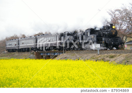 SL and rape blossoms, SL and cherry blossoms, SL and rape blossoms and cherry blossoms-Moka Tetsudo-SL Mooka material SL and rape blossoms, SL and cherry blossoms, SL and rape blossoms and cherry blossoms-Moka Tetsudo-SL Mooka material 87934869