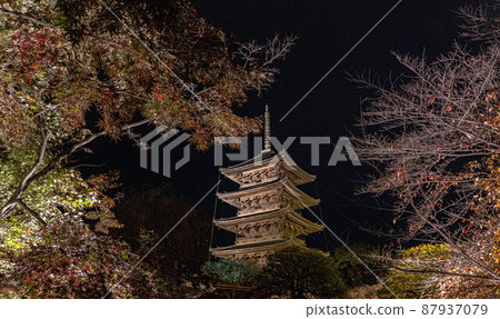 《Kyoto Prefecture》 Illuminated Toji Temple at night 87937079