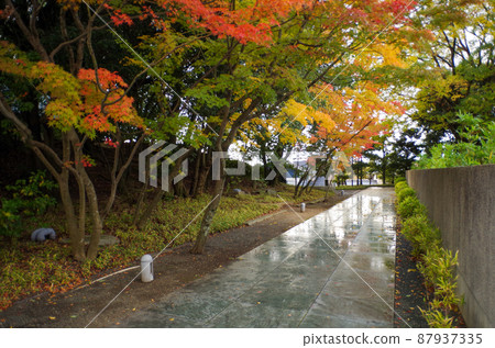 Autumn leaves and cobblestone road Autumn leaves and cobblestone road 87937335