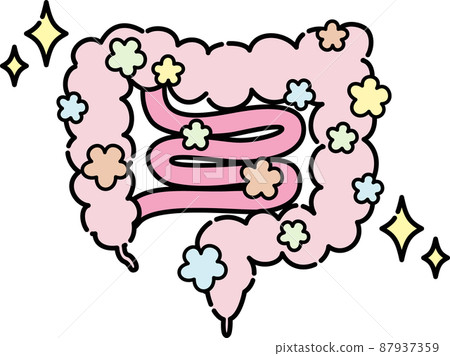 腸的例證 腸的例證 87937359