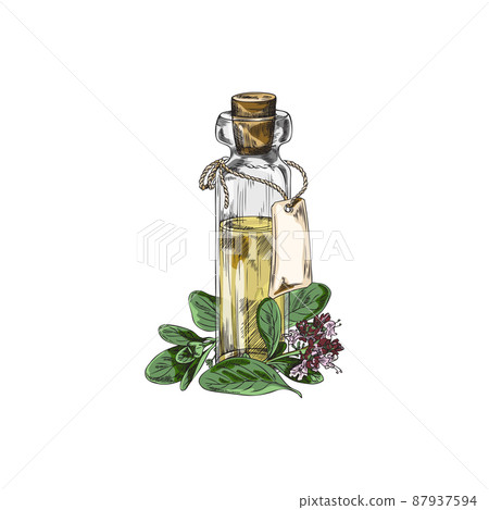 Marjoram or oregano oil bottle vector illustration isolated on white background. Marjoram or oregano oil bottle vector illustration isolated on white background. 87937594