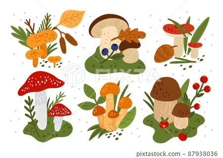 Mushrooms compositions. Forest fungi with plants. Berries and leaves on russula cap. Woodland porcini. Fly agaric and honeydew. Edible and poisonous. Vector autumn botanical elements set 87938036