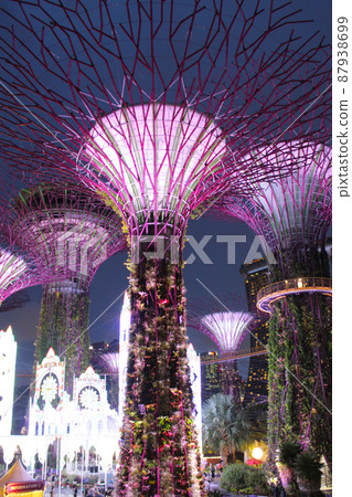 新加坡濱海灣花園 新加坡濱海灣花園 87938699