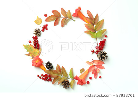 Thanksgiving Day composition on white background, top view Thanksgiving Day composition on white background, top view 87938701