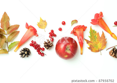 Thanksgiving Day composition on white background, top view Thanksgiving Day composition on white background, top view 87938702