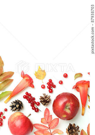 Thanksgiving Day composition on white background, space for text Thanksgiving Day composition on white background, space for text 87938703