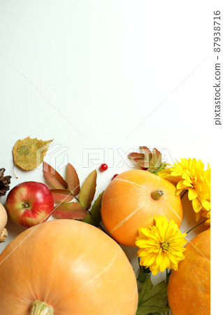 Thanksgiving Day composition with pumpkins on white table Thanksgiving Day composition with pumpkins on white table 87938716