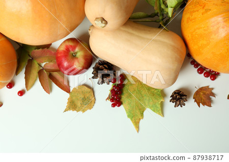 Thanksgiving Day composition with pumpkins on white table Thanksgiving Day composition with pumpkins on white table 87938717