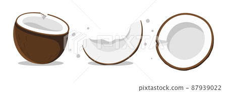 Coconut set of three different types Vector illustration isolated on white background 87939022