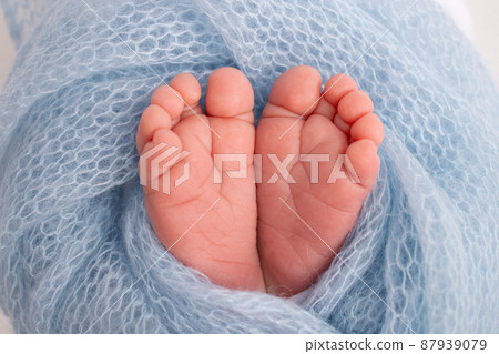 The tiny foot of a newborn. Soft feet of a newborn in a blue woolen blanket. Close up of toes, heels and feet of a newborn baby. Studio Macro photography. Woman's happiness. Concept. 87939079