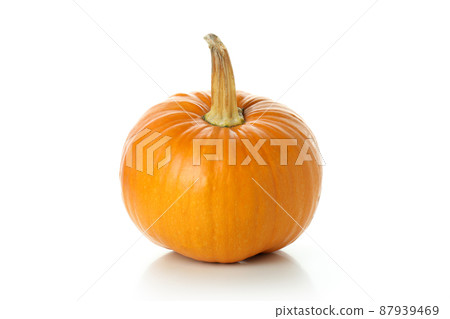 Thanksgiving Day pumpkin isolated on white background Thanksgiving Day pumpkin isolated on white background 87939469