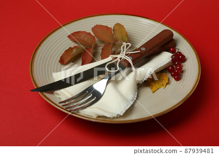 Happy Thanksgiving Day composition on red background Happy Thanksgiving Day composition on red background 87939481