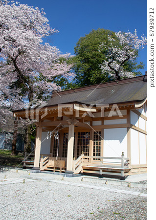 武田酒井神社 武田酒井神社 87939712