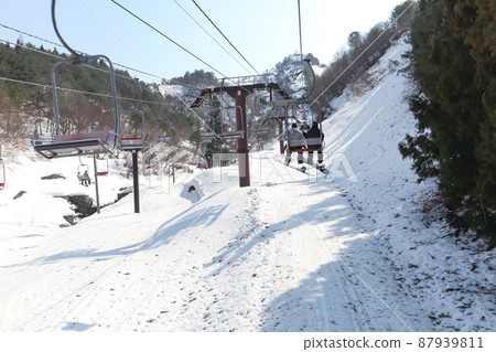 [Skijo] 胎內滑雪和單板滑雪（新潟縣胎內市） 87939811