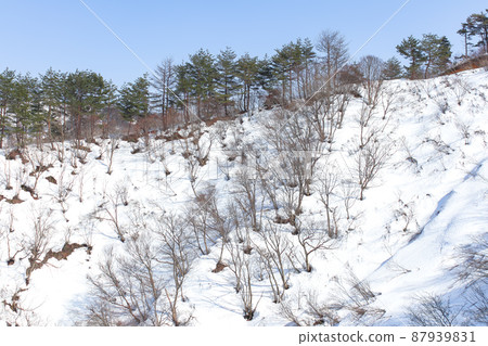 [Skijo] 胎內滑雪和單板滑雪（新潟縣胎內市） 87939831