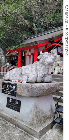 德島梅山天神公司 87939875