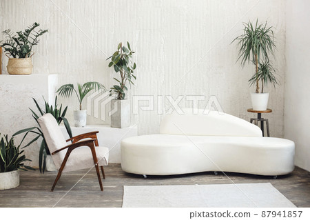 Modern light living room interior with cozy furniture Modern light living room interior with cozy furniture 87941857